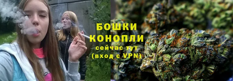 Шишки марихуана Bruce Banner  kraken как зайти  Наволоки  цены  